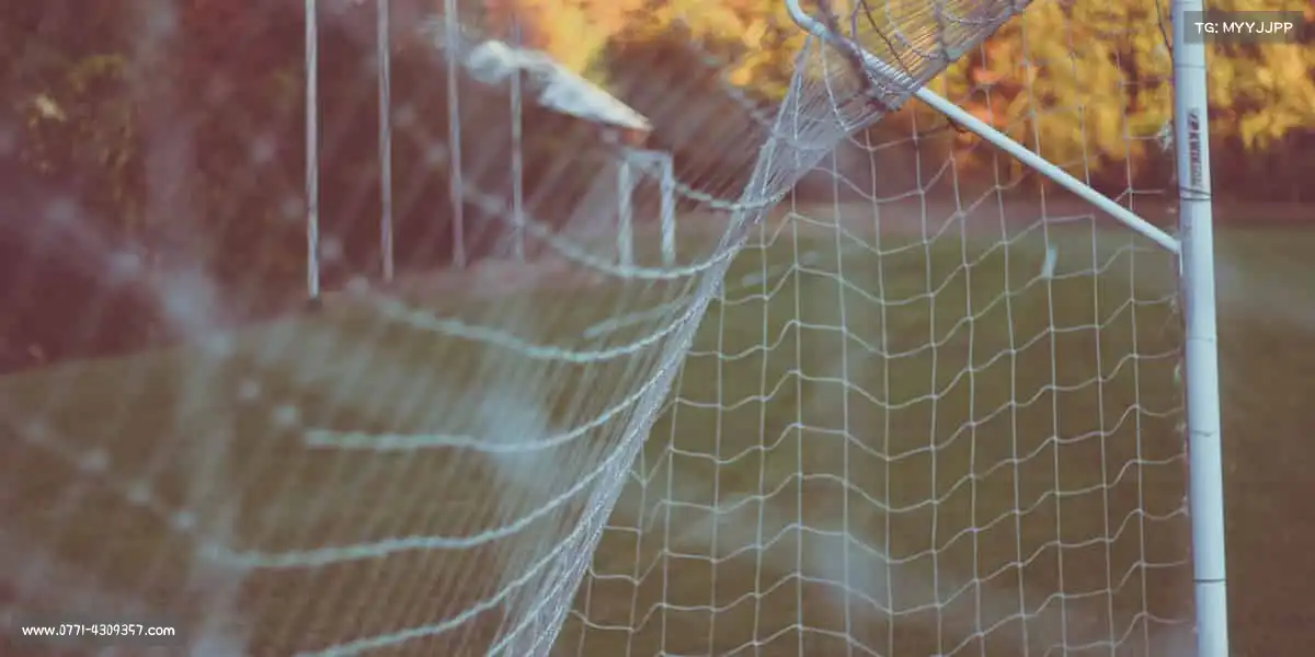 为什么选择我们